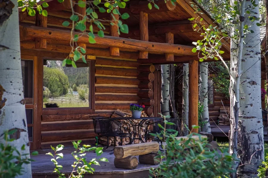 RLazyS-Ranch-003