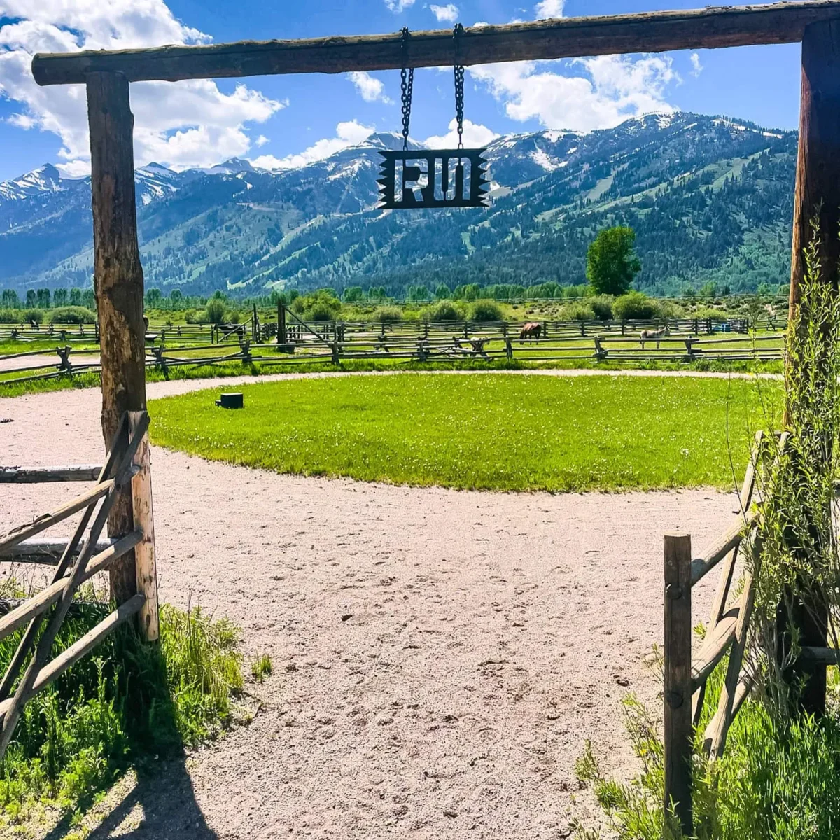 RLazyS-Welcome-005