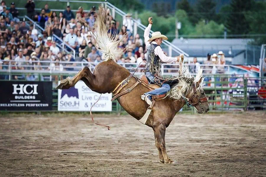 jackson-hole-rodeo
