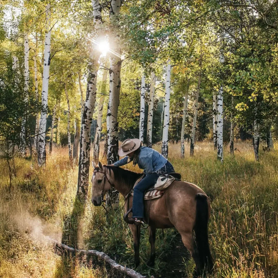 RLS-Horseback-01